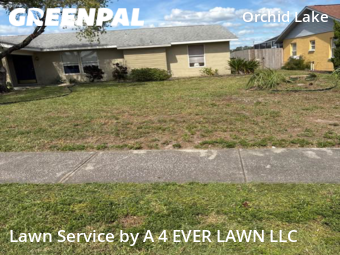 Lawn Mow nearby New Port Richey, FL, 