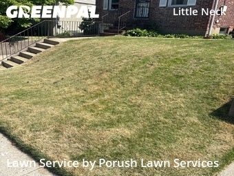 Grass Cut nearby Queens, NY, 