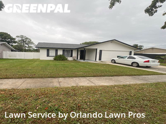 Lawn Mow nearby Union Park, FL, 