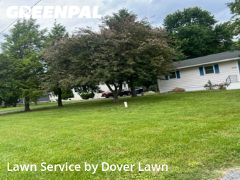 Yard Mowing nearby Felton, DE, 
