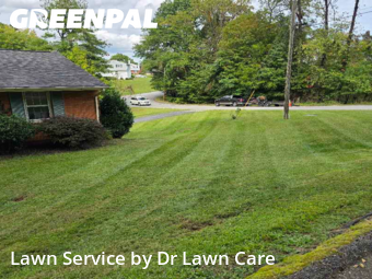 Yard Mowing nearby Cave Spring, VA, 