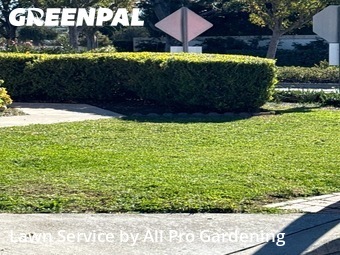 Work completed by local-lawn-care-services-in-Orange-CA