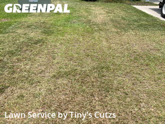 Grass Cutting nearby Valdosta, GA, 