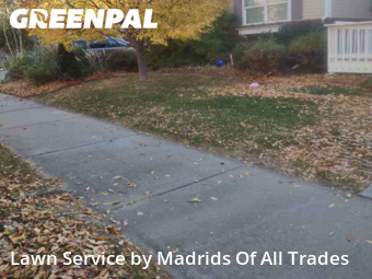 Lawn Maintenance nearby Timnath, CO, 