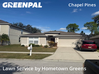 Grass Cut nearby Wesley Chapel, FL, 