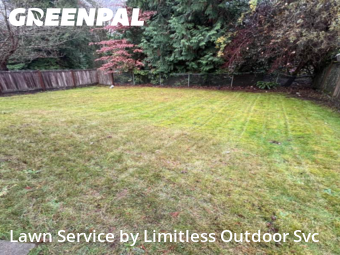 Lawn Mow nearby Renton, WA, 