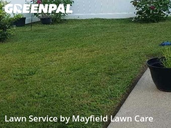 Lawn Cut nearby Suffolk, VA, 