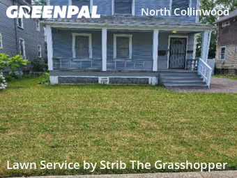 Grass Cutting nearby Cleveland, OH, 