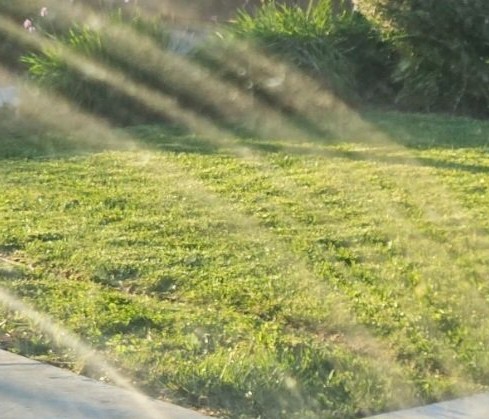 Lawn mowing work by Chris And Tony Lawnt in Stockton, CA