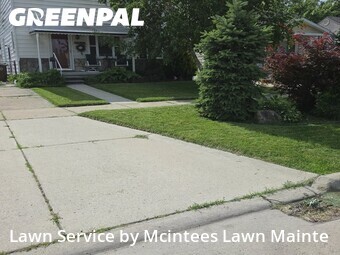 Lawn Cut nearby Southgate, MI, 