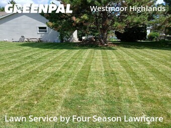 Lawn mowed in Brookfield, 53005
