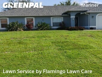 Lawn Mowing Service nearby Cape Coral, FL, 