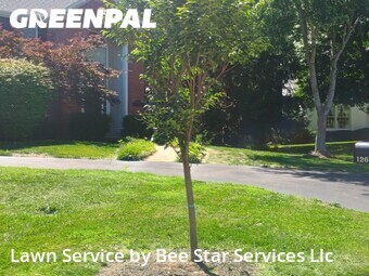 Grass Cutting nearby Des Peres, MO, 