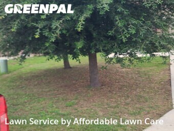 Lawn Mow nearby New Braunfels, TX, 
