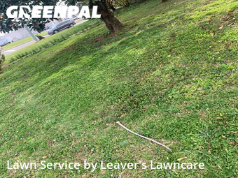 Lawn Care nearby Murfreesboro, TN, 