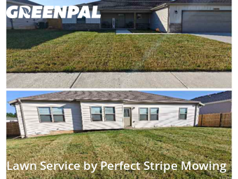 Grass Cut nearby Springfield, MO, 