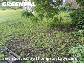 Lawn mowed in Freeport, 61032