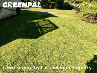 Weed Trimming in Scranton, 18505, Grass Cutting by Lackawanna Property, work completed in Nov , 2025