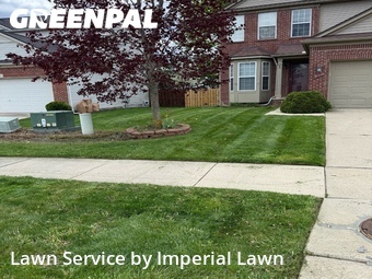 Grass Cutting nearby Ypsilanti Charter Township, MI, 
