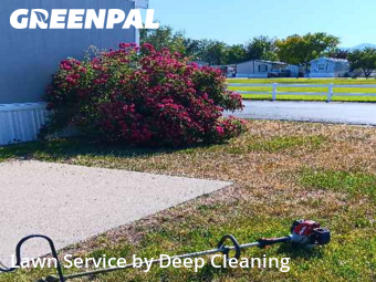 Lawn Cut nearby West Jordan, UT, 