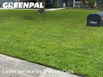 Grass Cut nearby Bradenton, FL, 