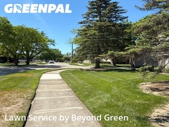 Lawn Mow nearby Dearborn Heights, MI, 