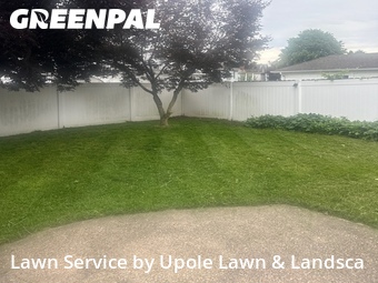 Lawn Mowing nearby Carnegie, PA, 