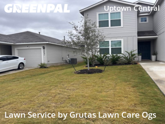 Lawn Cutin San Antonio,78253,Lawn Mow by Grutas Lawn Care Ogs, work completed in Dec , 2025