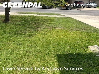 Yard Cutting nearby Converse, TX, 
