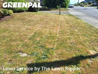 Lawn Mowing Service nearby Seattle, WA, 