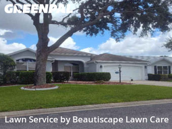 Lawn Cut nearby The Villages, FL, 