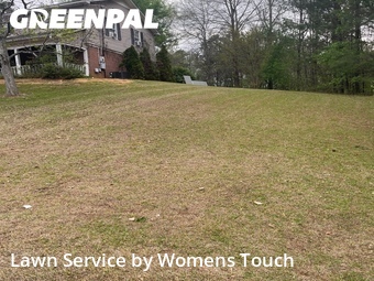 Grass Cutting nearby Northport, AL, 