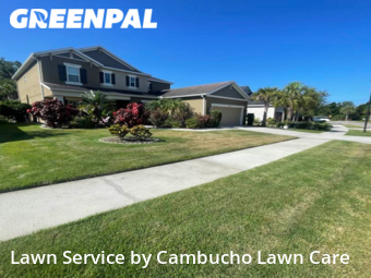 Grass Cut nearby Sarasota, FL, 