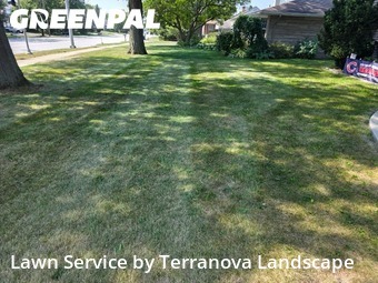 Front Yard Mowing in Lisle, 60532, Front Yard Mowing by Terranova Landscape, work completed in Nov , 2025