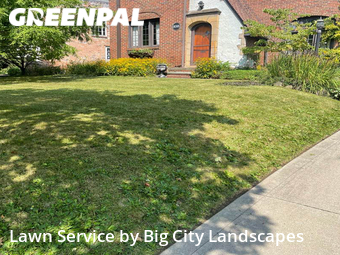Lawn Maintenance nearby Shaker Heights, OH, 