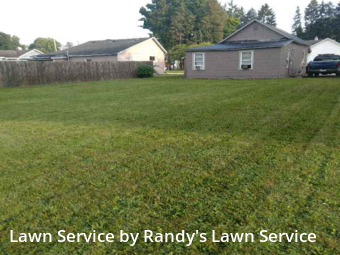 Lawn Cut nearby New Carlisle, IN, 
