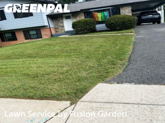 Grass Care in Silver Spring, 20906, Grass Services by Fusion Garden, work completed in Nov , 2025