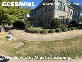 Yard Mowing in Carrollton, 75010, Garden Trimming by Alfas Landscaping, work completed in Oct , 2025