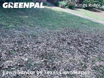 Yard Cutting nearby Frisco, TX, 