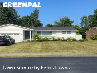 Yard Cutting nearby Lake View, NY, 