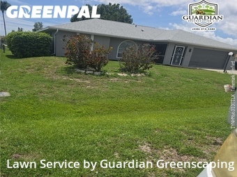 Lawn Cutting nearby Fort Myers, FL, 