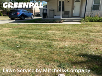 Yard Mowing in Sterling Heights, 48313, Grass Cutting by Mitchell&Company, work completed in Oct , 2025