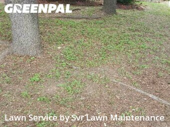 Lawn Cutting nearby San Antonio, TX, 