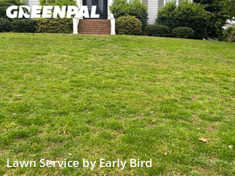 Lawn Mow nearby Matthews, NC, 