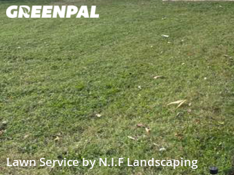 Grass Cut nearby Charlotte, NC, 