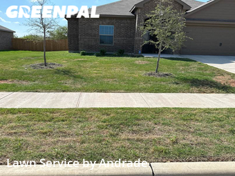Lawn Mow nearby Crowley, TX, 