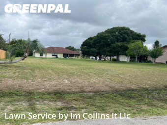 Lawn Mow nearby Palm Bay, FL, 