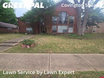 Yard Mowing nearby Plano, TX, 