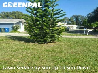 Lawn Cut nearby Largo, FL, 
