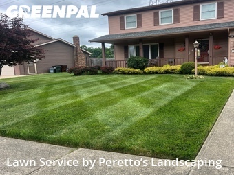 Yard Cutting nearby Parma, OH, 